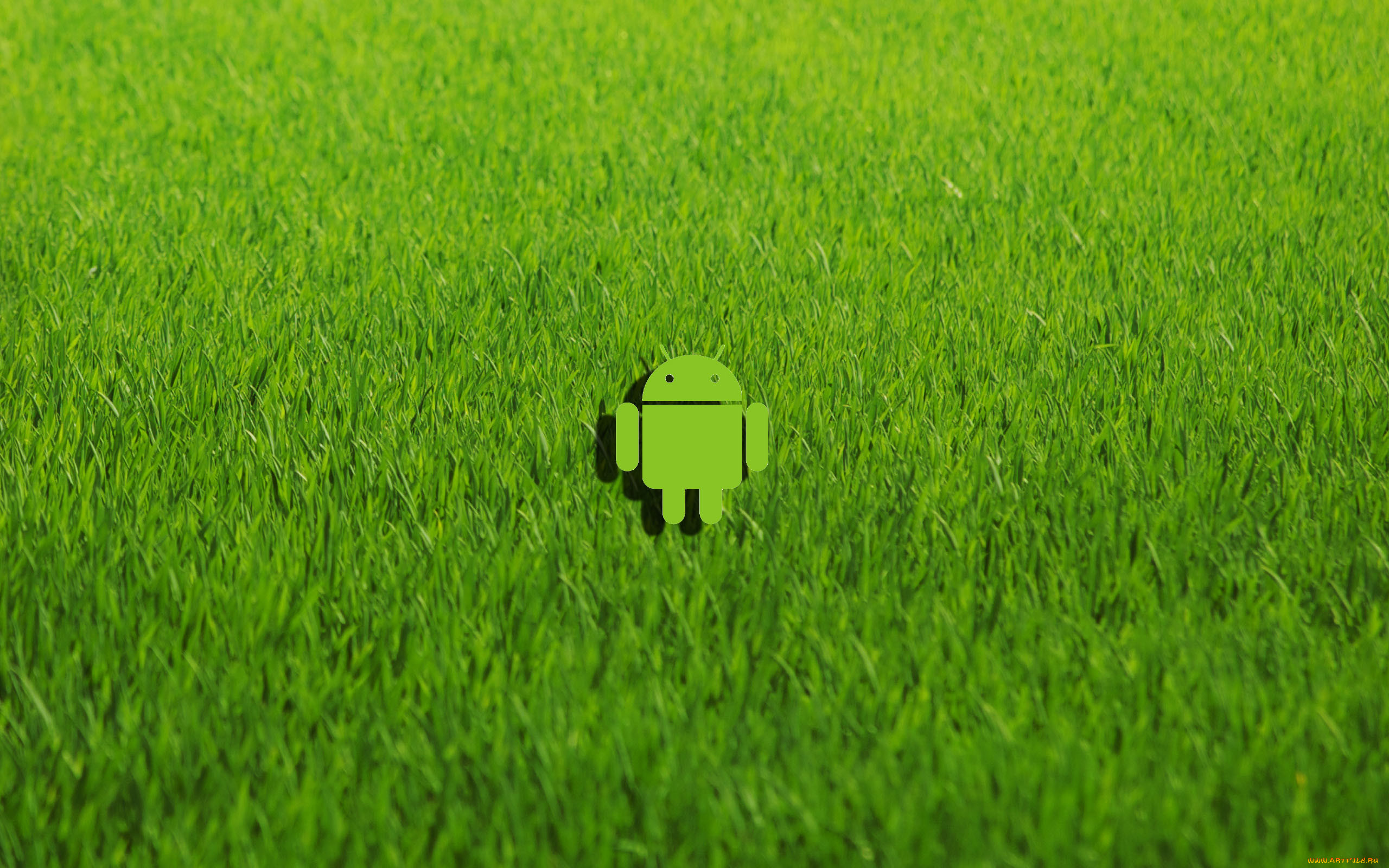 , android